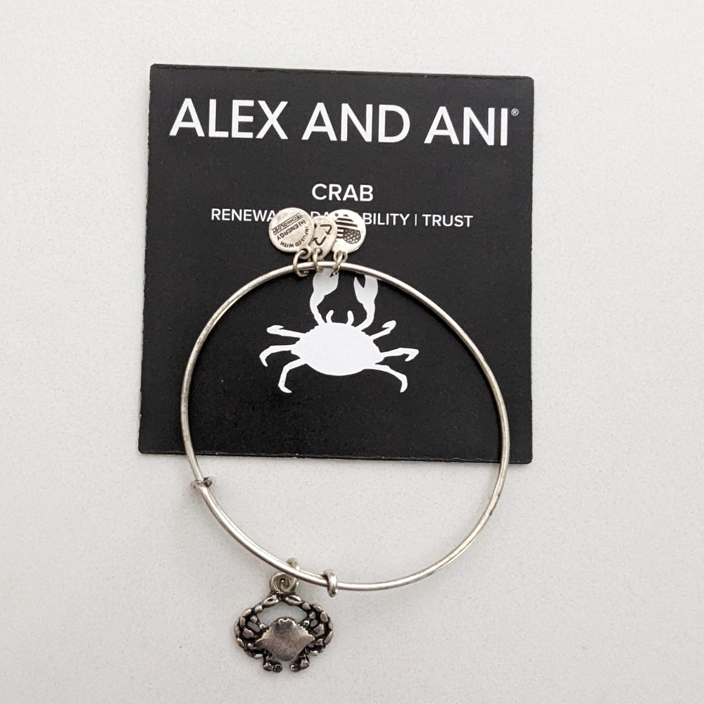 Alex and Ani bracelet